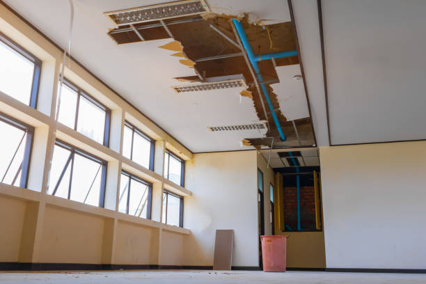 Best Local water damage restoration  in Aurora, IN