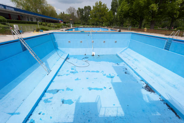 Best Basement water damage restoration  in Aurora, IN