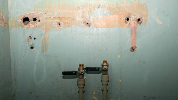 Best Flood restoration services  in Aurora, IN
