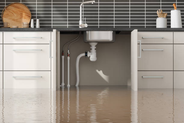  Aurora, IN Water damage restoration Pros